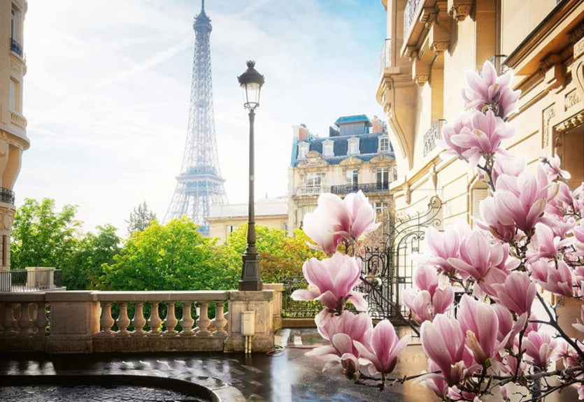 Spring in Paris