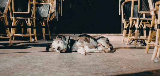 The Most Common Mistakes People Make When Trying to Rest