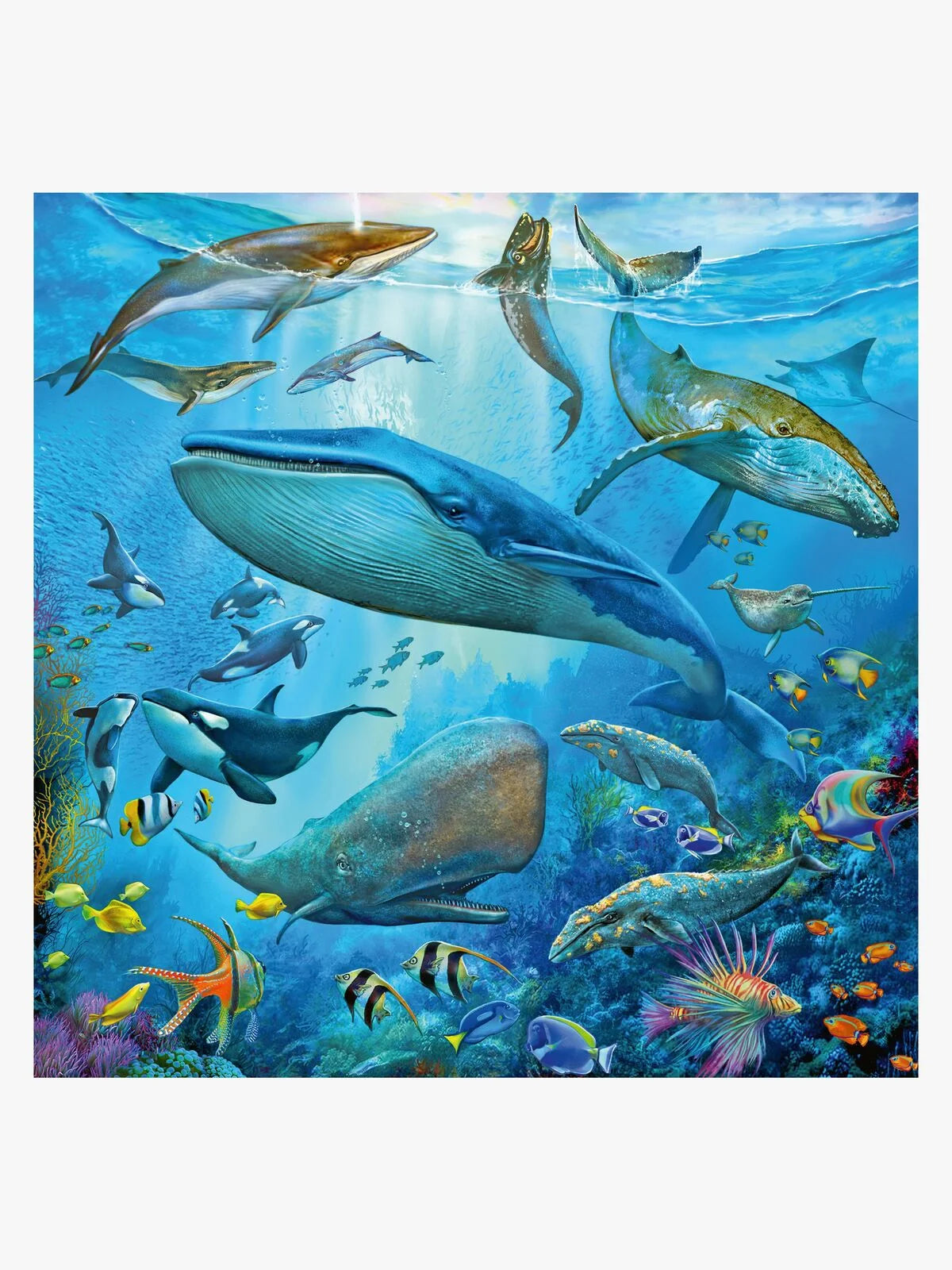 Ocean Life (3 Puzzles)